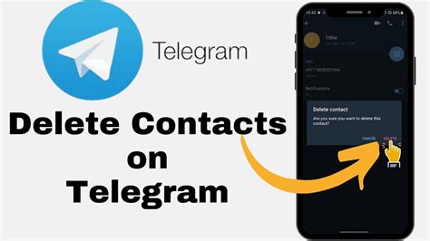 Telegram: Contact @Lauren